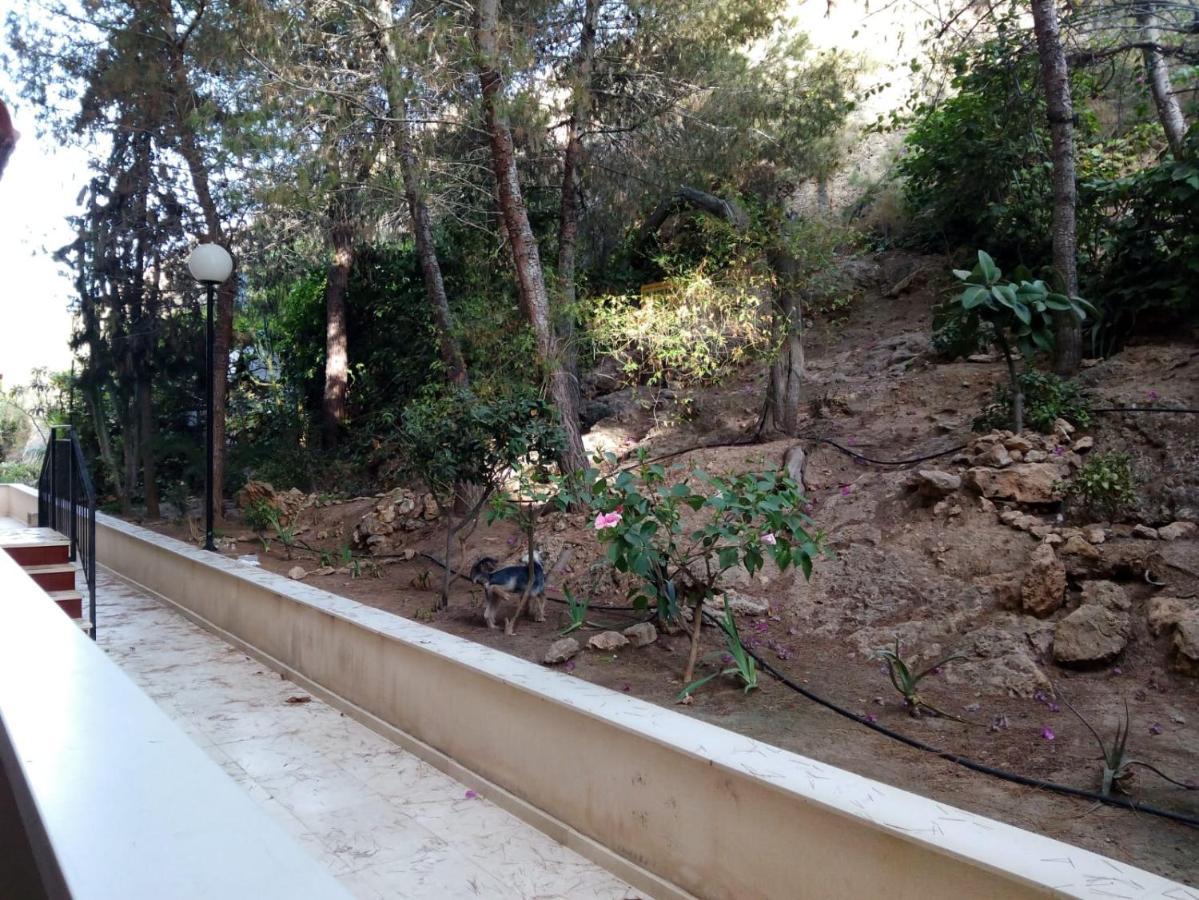 Mediterranean Beach Apartment 180º Sea & Island Views Santa Pola Exterior foto